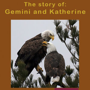 Gemini and Katherine